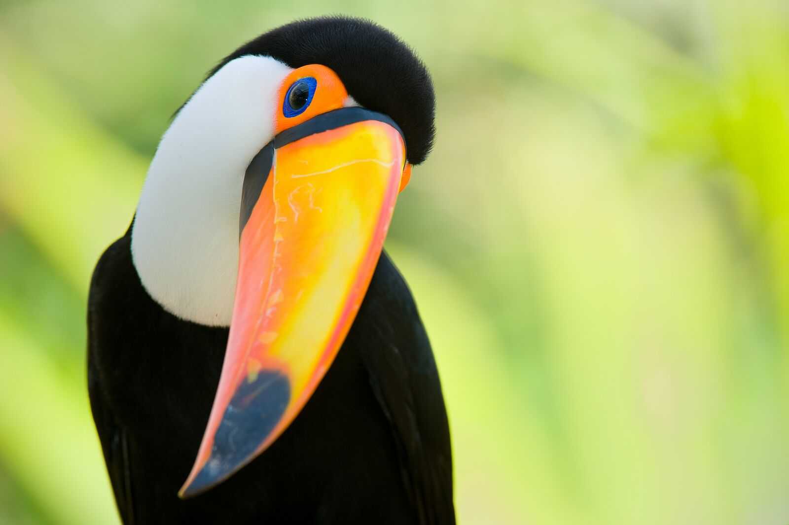 https://sibelco.getbynder.com/m/688730c61ab96cec/large-brazil-diversity.jpg